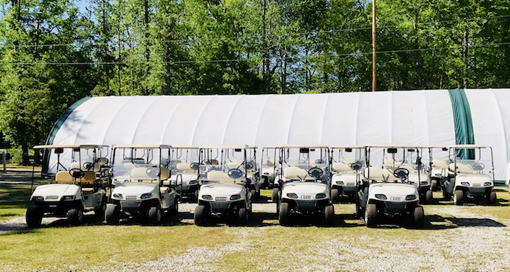 Row of Grab-a-Cart rental carts